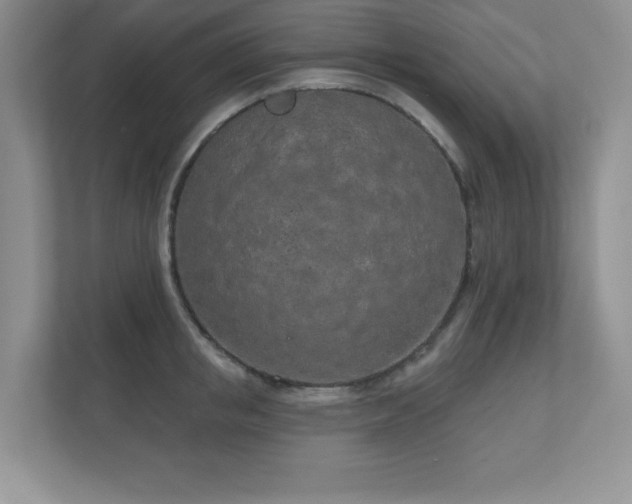 X0000111180853200907011408
