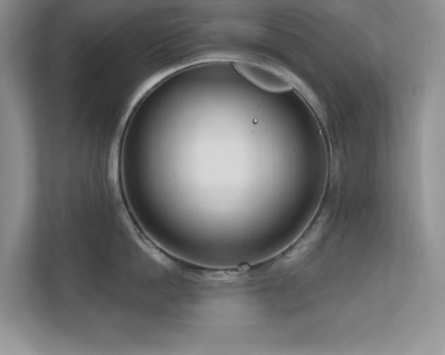 X0000111180862200907011408