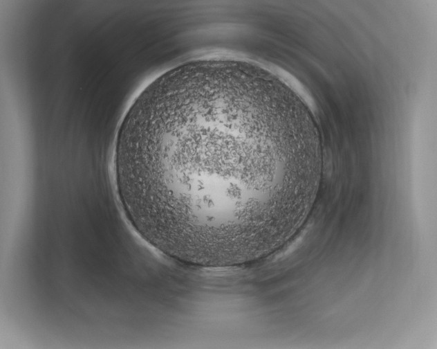 X0000111180863200907011408