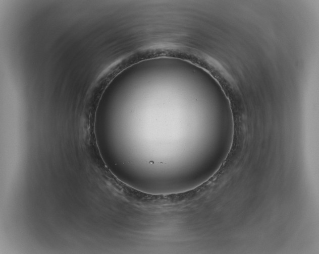 X0000111180872200907011408