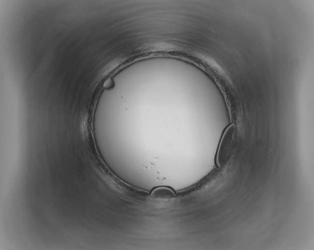 X0000111180873200907011408