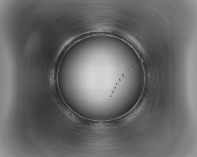 X0000111180875200907011408