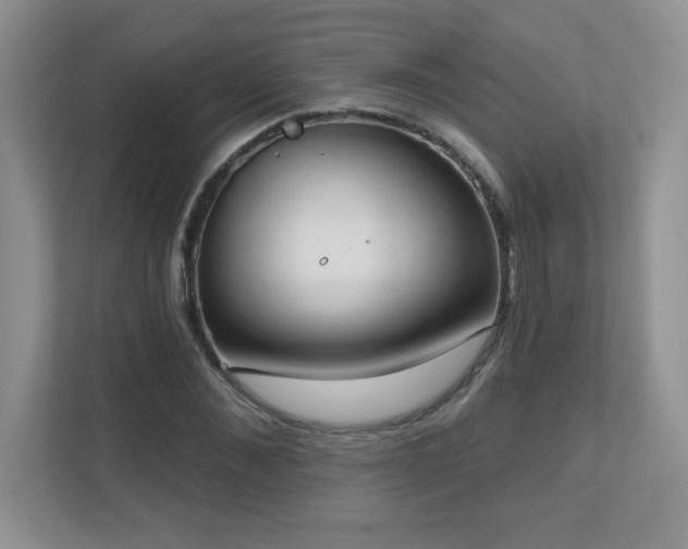 X0000111180876200907011408