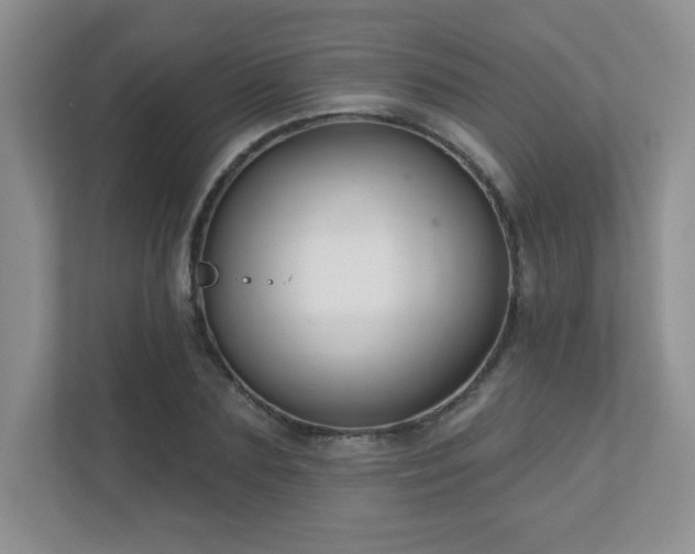 X0000111180883200907011408