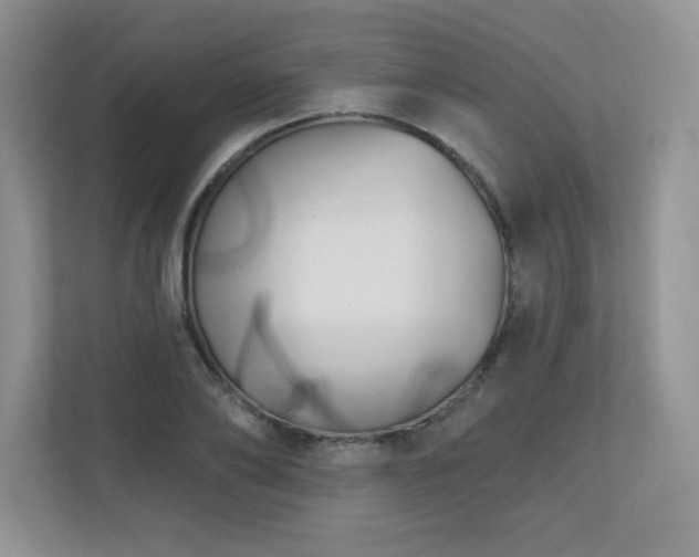 X0000111180886200907011408