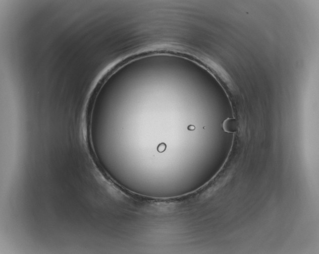 X0000111180888200907011408