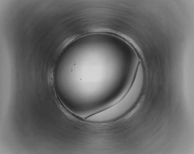 X0000111180897200907011407