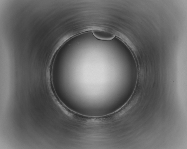 X0000111180898200907011407