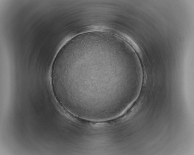 X0000111180899200907011407