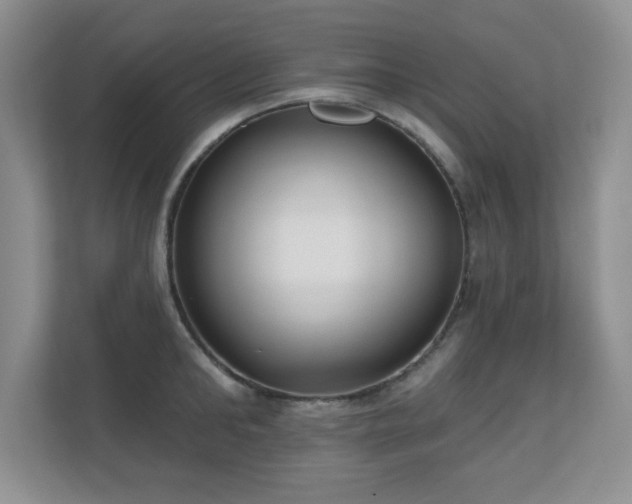 X0000111180902200907011407