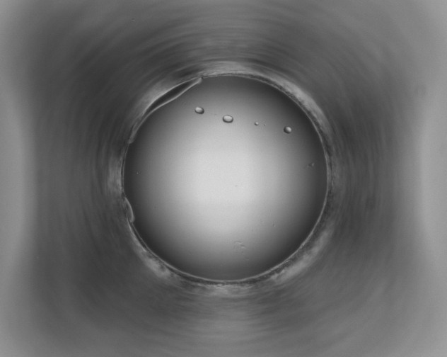 X0000111180905200907011407