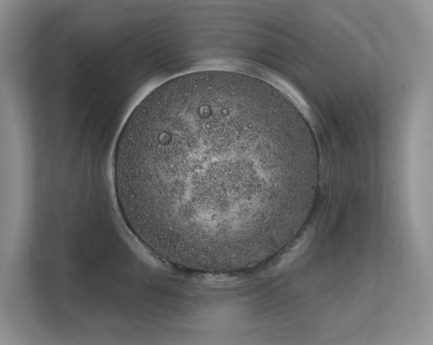 X0000111180907200907011407