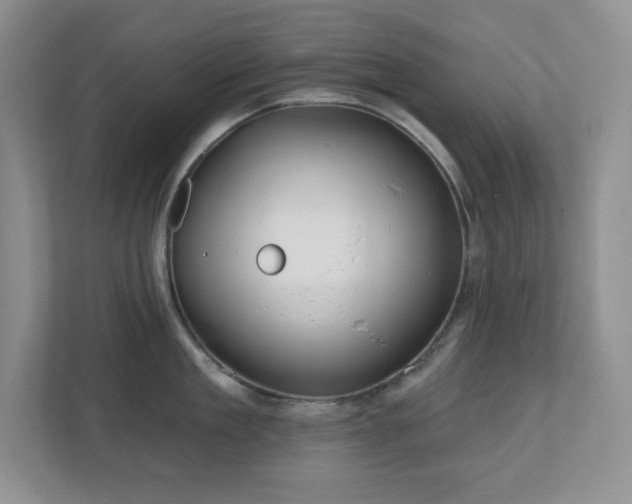 X0000111180909200907011407