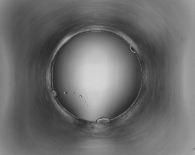 X0000111180911200907011407