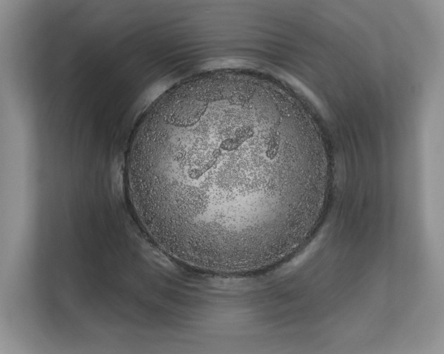 X0000111180921200907011407