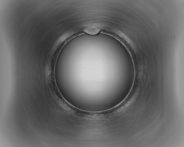 X0000111180922200907011407