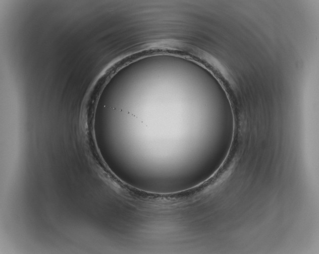 X0000111180923200907011407