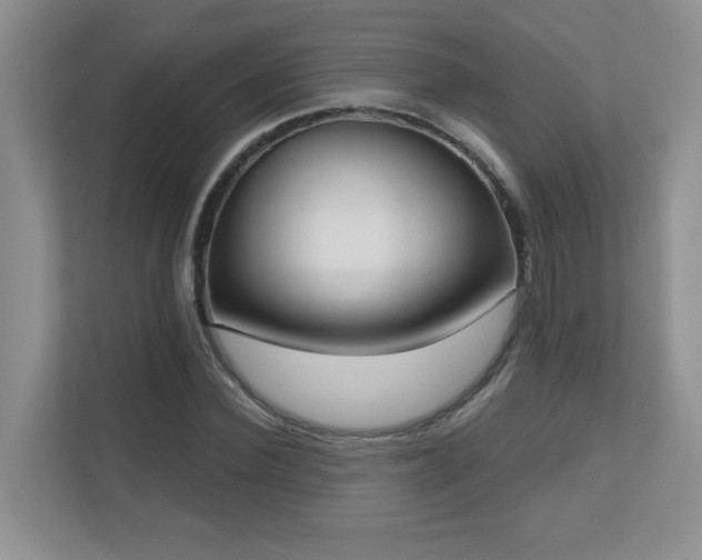 X0000111180924200907011407
