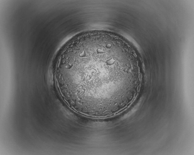 X0000111180925200907011407