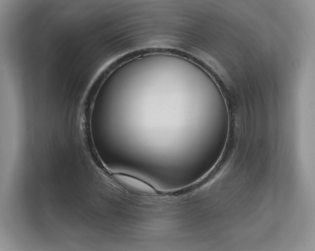 X0000111180926200907011407