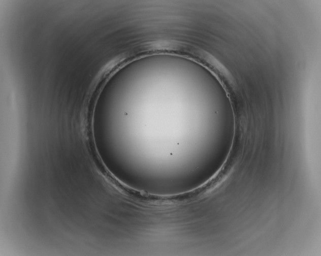X0000111180930200907011407