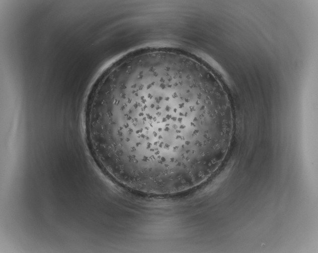 X0000111180935200907011407