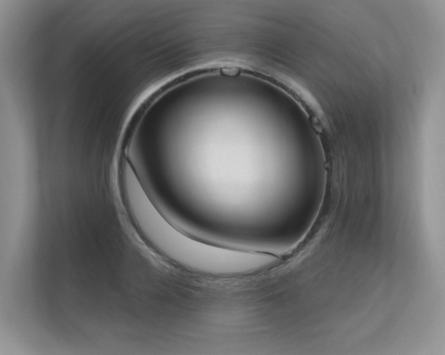 X0000111180936200907011407