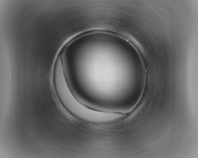 X0000111180940200907011407