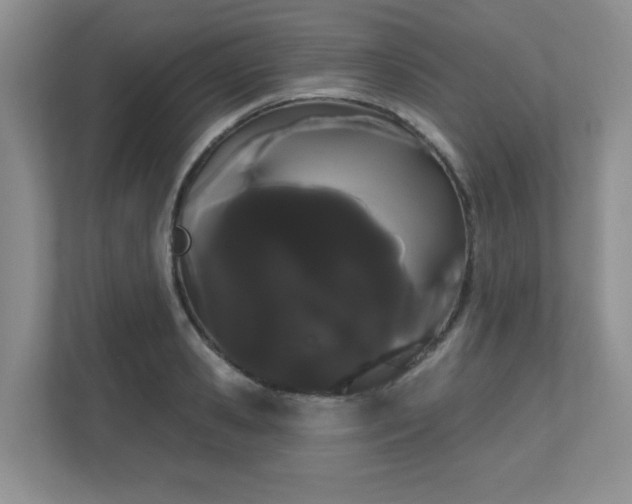 X0000111180941200907011407
