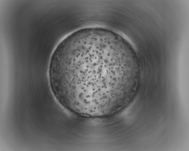 X0000111180943200907011407