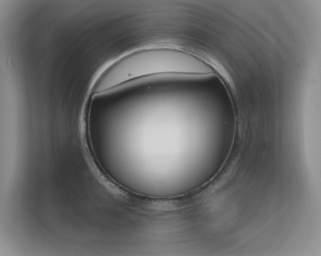 X0000111180944200907011407