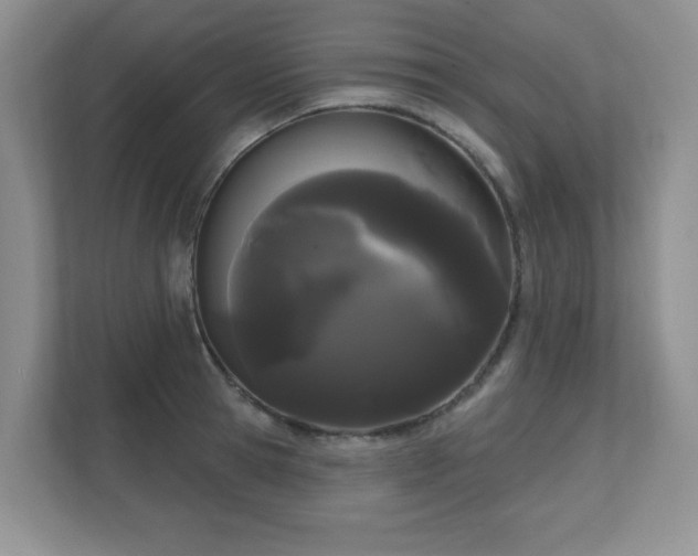 X0000111180945200907011407