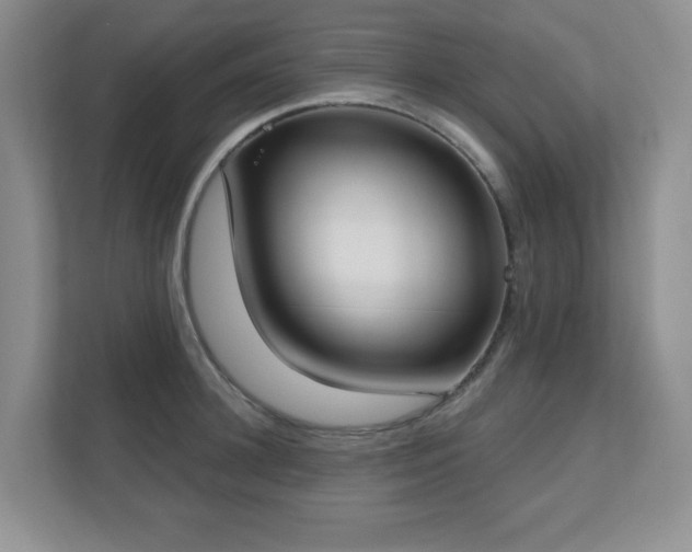 X0000111180948200907011407