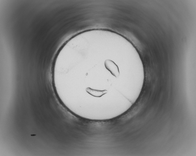 X0000111180950200907011407