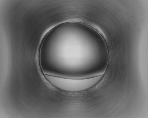 X0000111180952200907011407