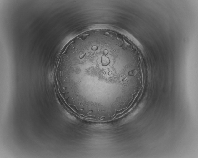 X0000111180953200907011407
