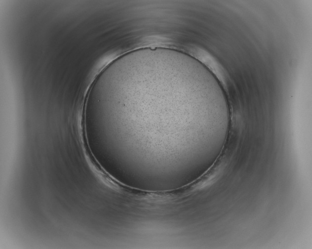 X0000111180954200907011407