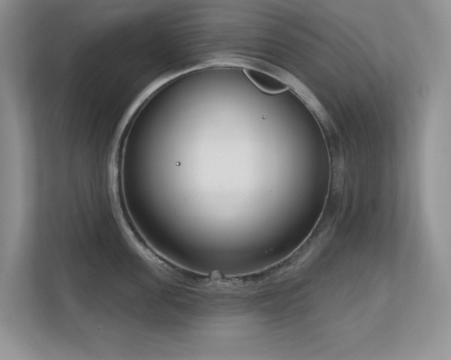 X0000111180955200907011407