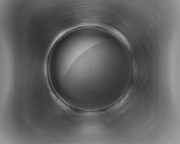 X0000111180958200907011407