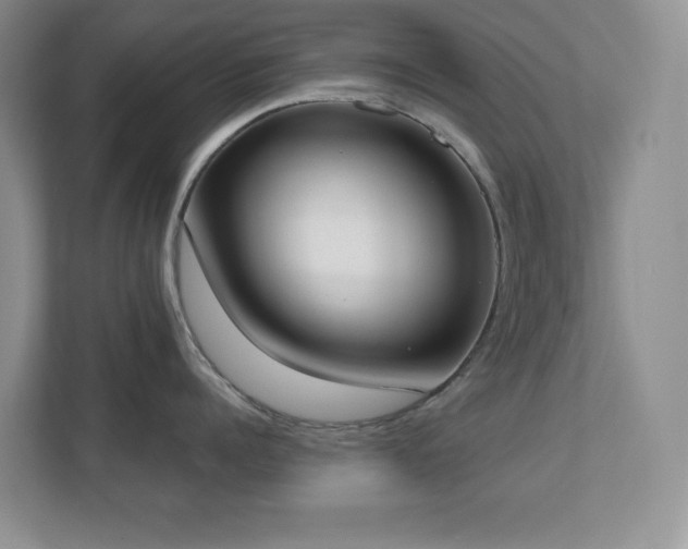 X0000111180960200907011407