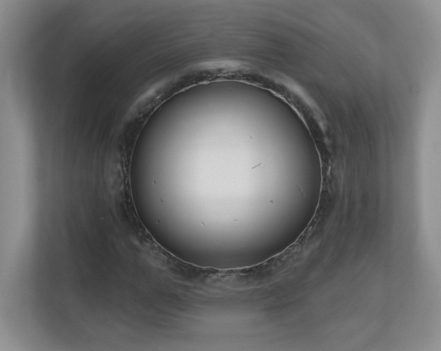 X0000111180967200907011407