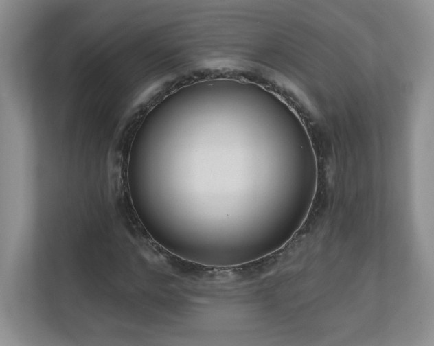 X0000111180968200907011407