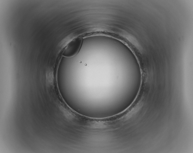 X0000111180969200907011407