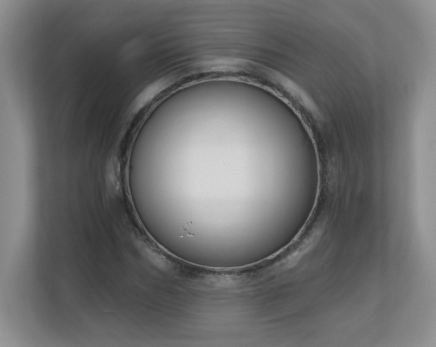 X0000111180970200907011406