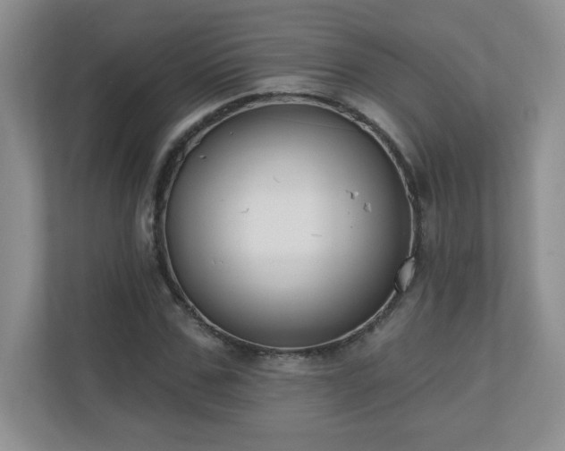 X0000111180971200907011406