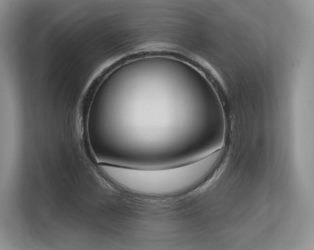 X0000111180973200907011406