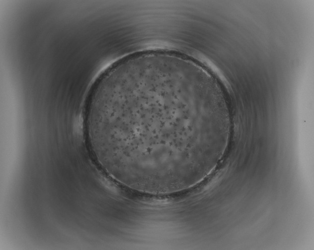 X0000111180975200907011406