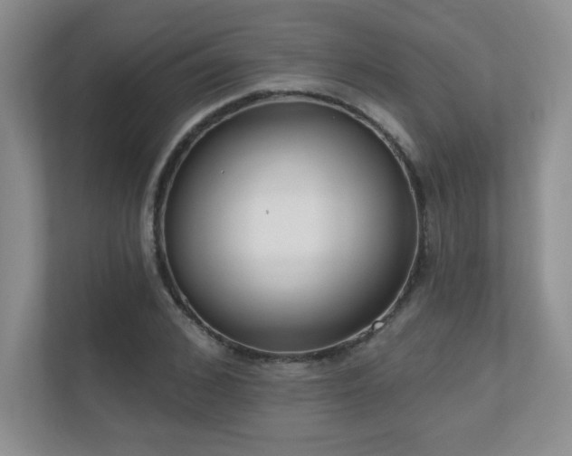 X0000111180976200907011406