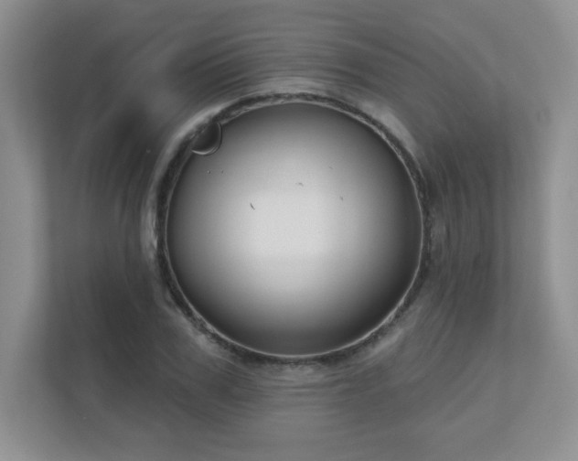 X0000111180979200907011406