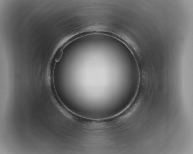 X0000111180981200907011406